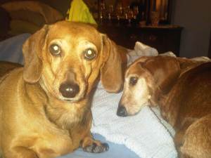 IMG00007-20100610-2017