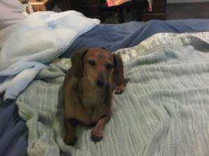 IMG00035-20110304-1839